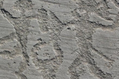 screenshot-www-ostellodelpittore-it-2015-01-26-14-27-46